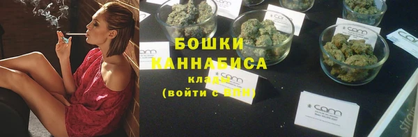 PSILOCYBIN Осинники