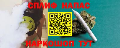 шишки Апшеронск