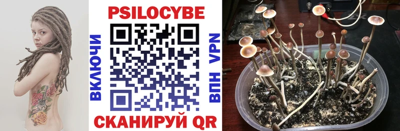 Галлюциногенные грибы прущие грибы  Асино 