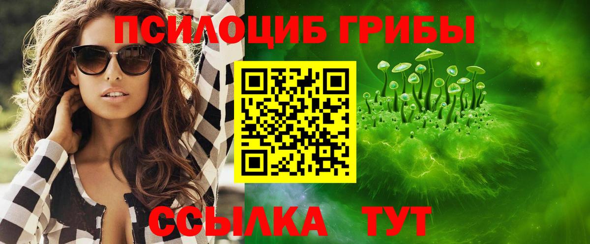Галлюциногенные грибы Psilocybe  Псилоцибиновые грибы ЛСД  Вход с VPN  Асино 