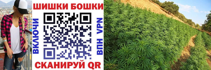Конопля Bruce Banner Асино
